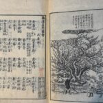 Settsu meisho zue