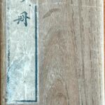 Wanryū shinsatsu