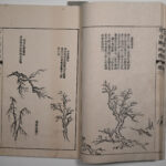 MSG 1753 V2 P8-9 DSC 5724