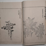 MSG-1753 V3 P8-9 DSC 5758