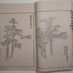 MSG-1753 V3 P6-7 DSC 5757