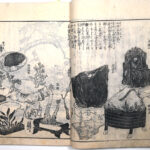 Tokaidō meisho zue — Akisato Ritō, Nakaya Naruchika — 1797