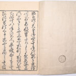 Tokaidō meisho zue — Akisato Ritō, Nakaya Naruchika — 1797