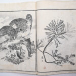 Meika G DSC 6644 P60-61