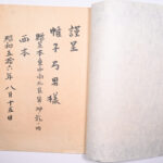 Tosei – DSC 6573 – Intro