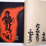 Tosei – DSC 6579 – P10-11